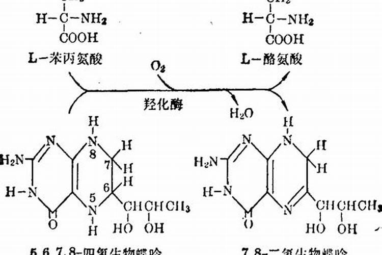 怎样能让葡萄以最快且最佳的方式上色