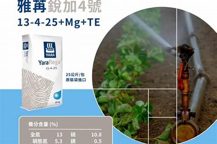 雅苒滴益施是进口的吗