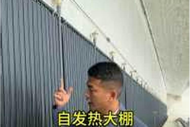 辣椒过冬方法
