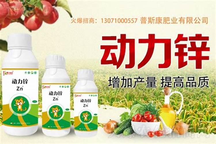 锌肥注意事项