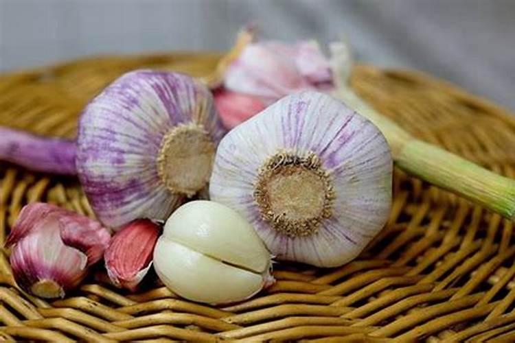种大蒜用什么肥料最好
