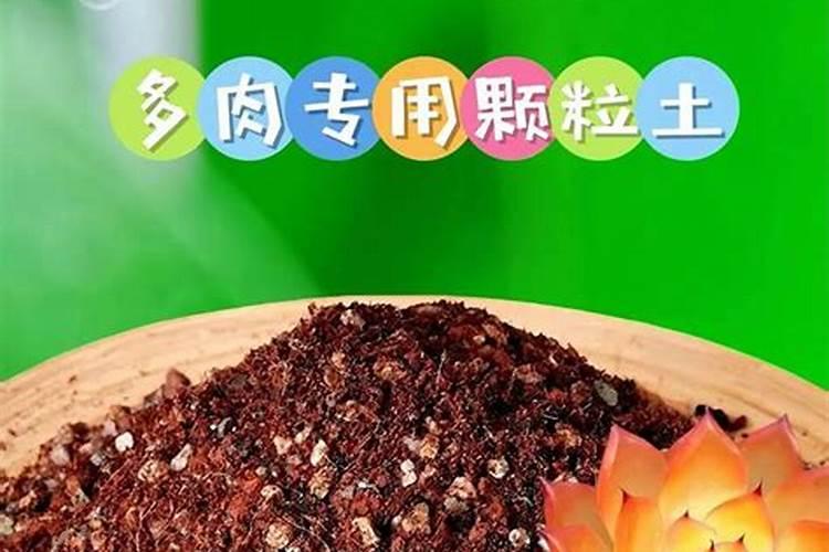 多肉植物能喷磷钾肥吗