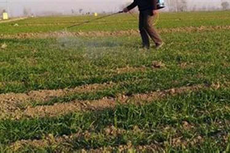 农药、肥料混用到底行不行？