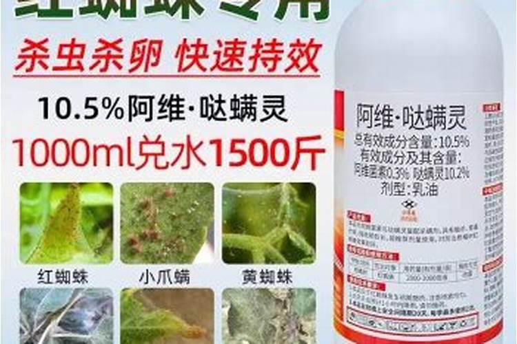 桃树花前花后打药技巧桃树花前花后打药技巧有哪些