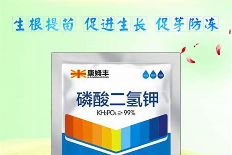种瓜果怎么使用磷酸二氢钾