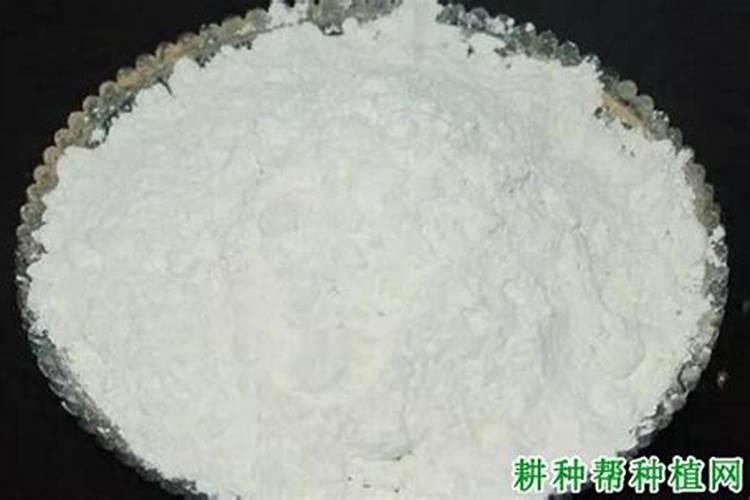 柚子树掉果严重怎么办