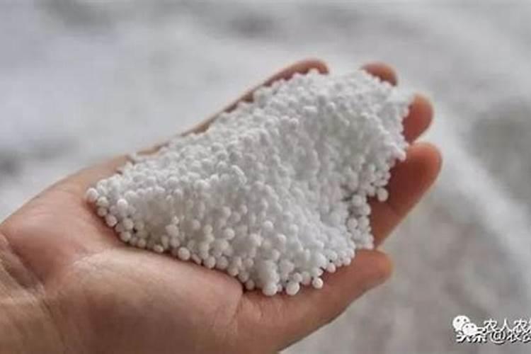 什么是铵态氮肥