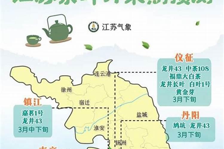 茶叶秋梢肥用什么复合肥最好