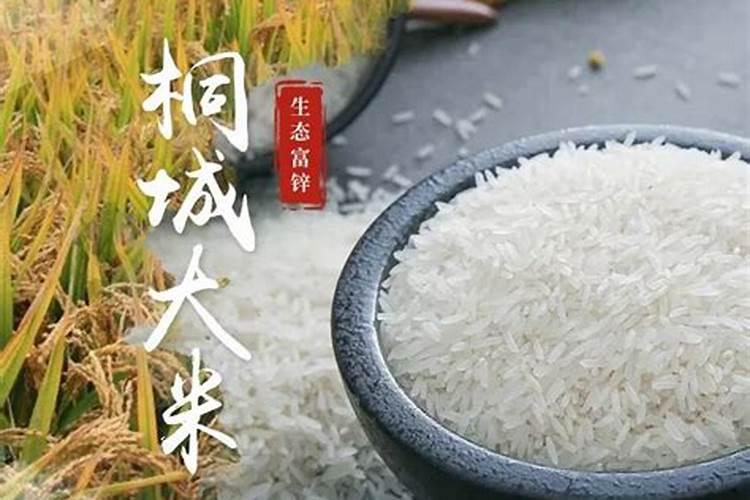 中微量元素肥怎么弄植物里面？