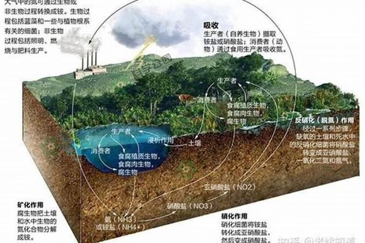 ...①看外观.氮肥、钾肥都是白色晶体;磷肥是灰白色
