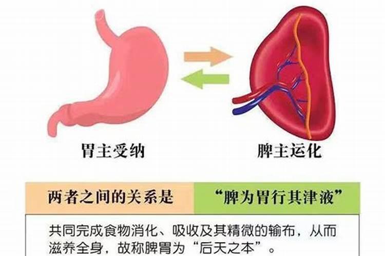 镁肥有哪些