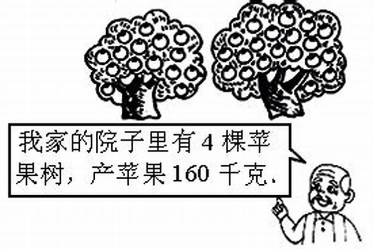 四季豆用什么肥料最好