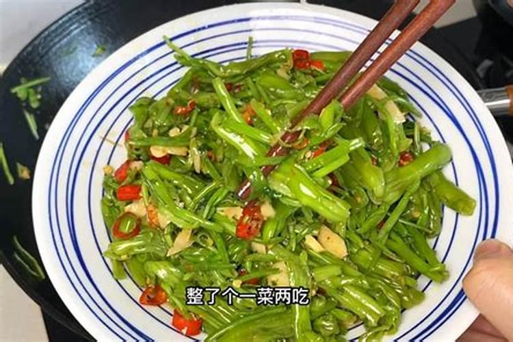 菜叶子用水沤肥多久