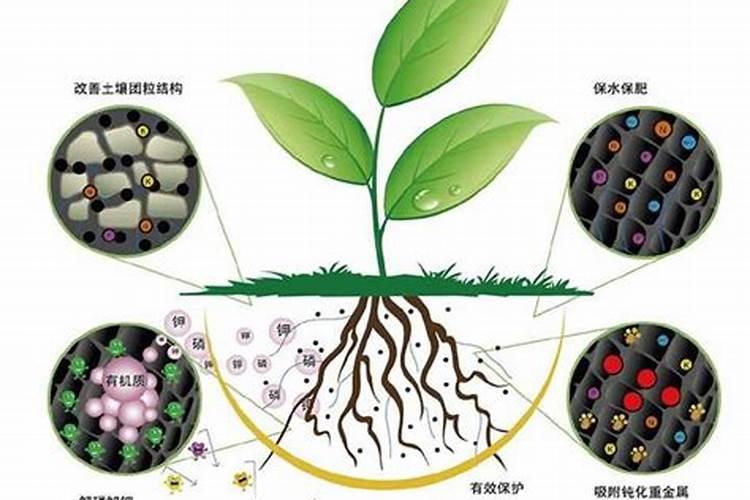 种植大量元素是什么意思？