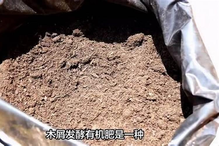 蓝莓施肥用什么肥料最好 种蓝莓用肥正确长得快