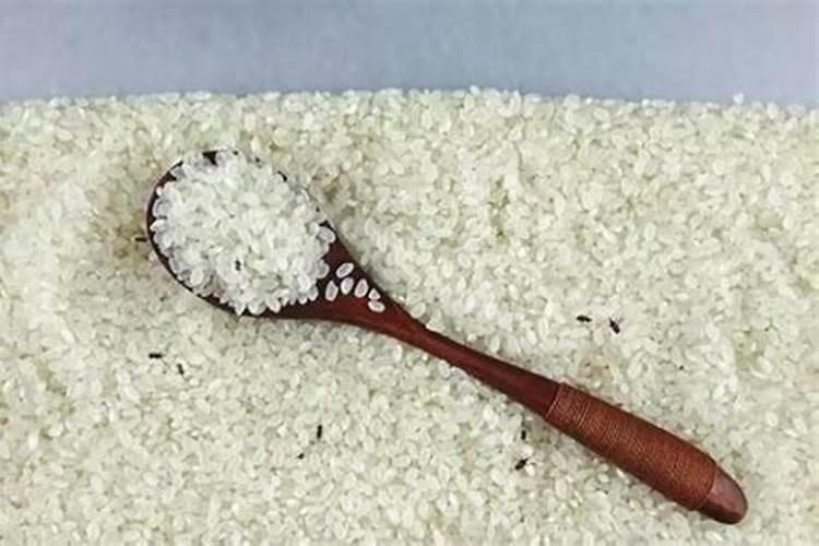 家里绿植施什么肥、室内最旺宅的植物