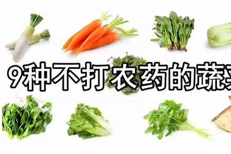 青菜施什么肥最好