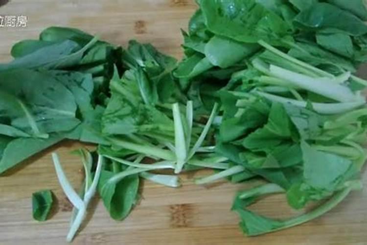 小青菜种植施肥方法和时间