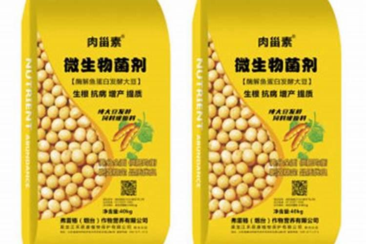 鱼蛋白水溶肥制作方法