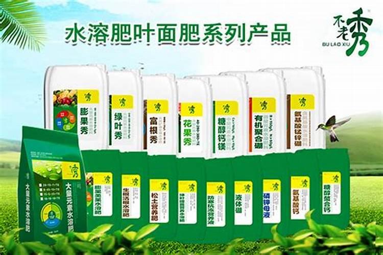 蟹爪兰用叶面肥喷施能行吗 裸根蟹爪兰怎么栽种