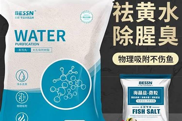 新人养猫有哪些除臭小技巧？