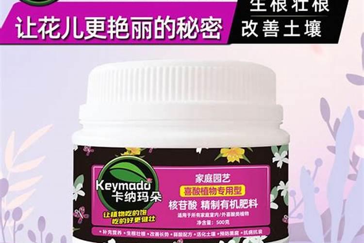 种蓝莓需要注意什么