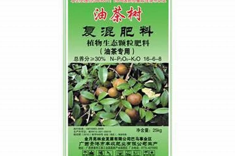 生茶籽多小钱一斤