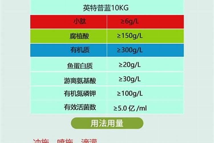 鱼蛋白自制配方