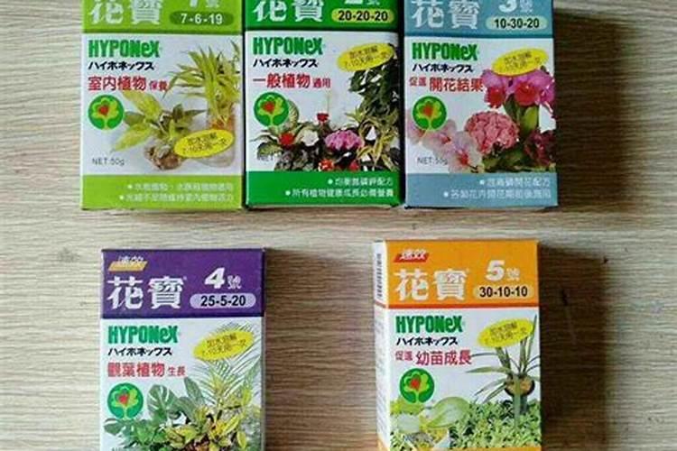 蝴蝶兰怎么施肥