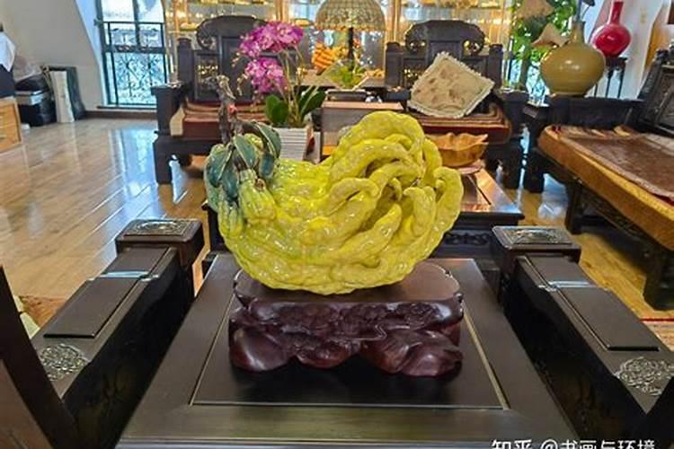 金佛手怎么养