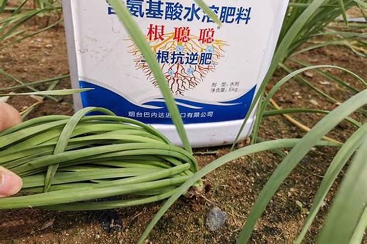 青海生物有机肥企业有几家？