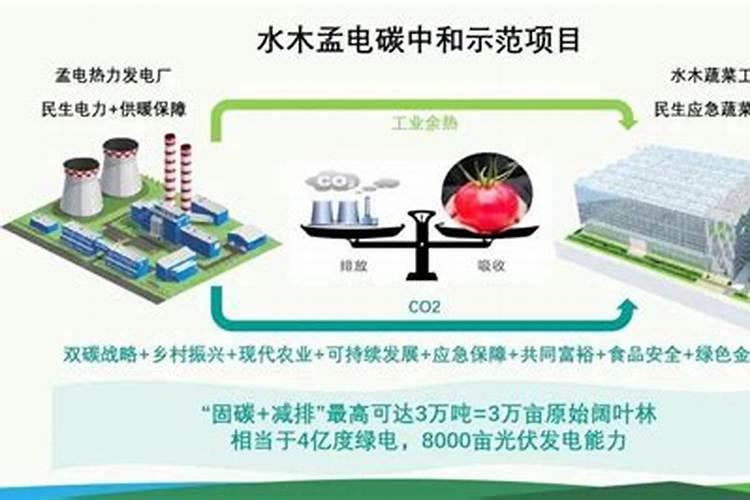 生物有机碳肥的关键作用是什么