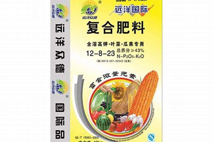 刚栽的菜苗应怎么浇水和追肥
