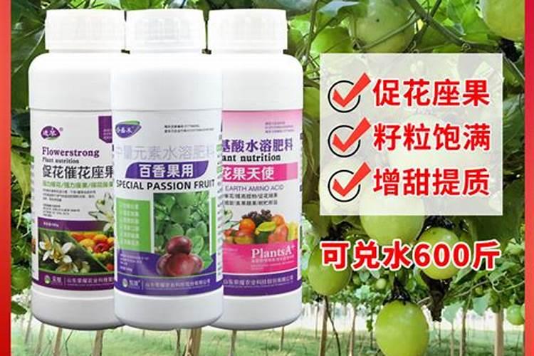 杨桃树一年施几次肥