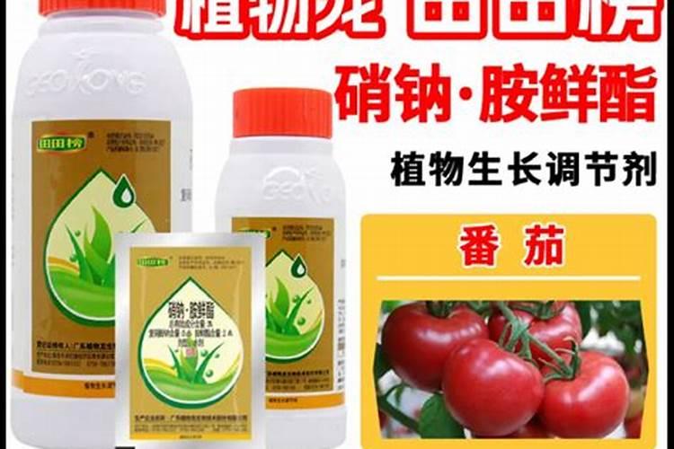 果树和瓜果作物开花坐果期三种肥料不能缺保花保果又增甜