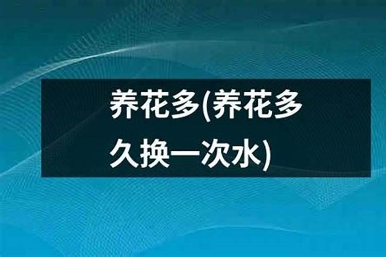 养花的营养液怎么用