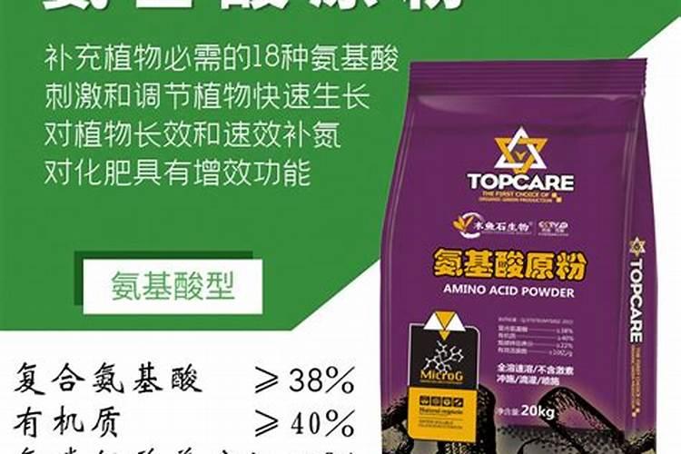 养多肉植物用什么土