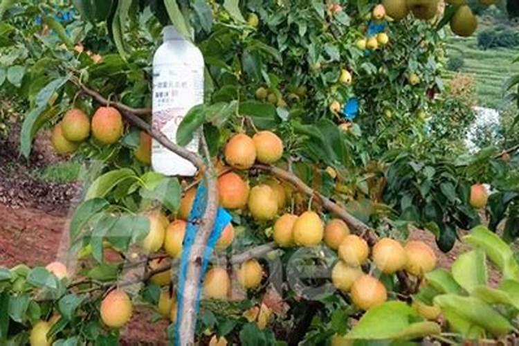 怎么在网上推广叶面肥,水溶肥等新型农业肥料？