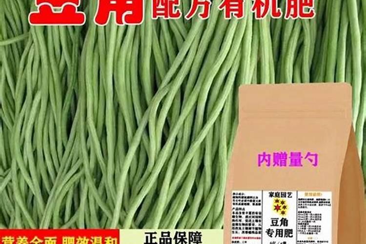 如何种豆角才能长得多？