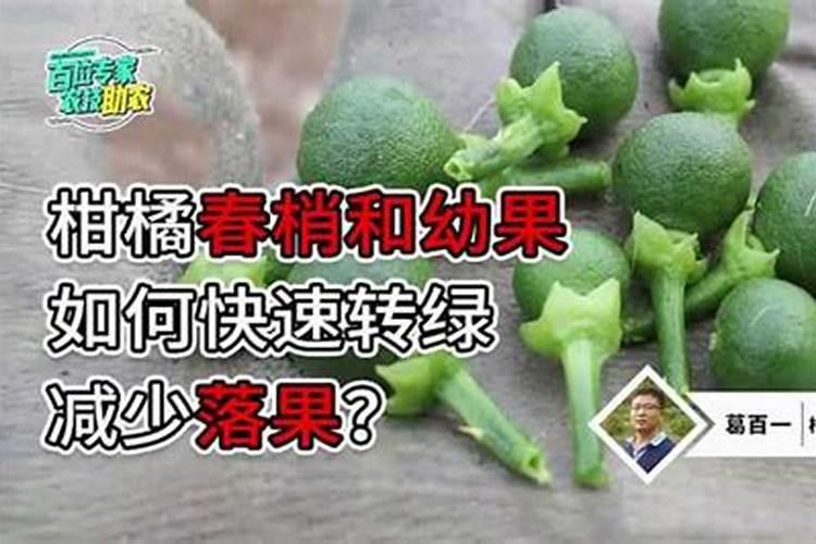 喷什么药让幼果转绿膨大