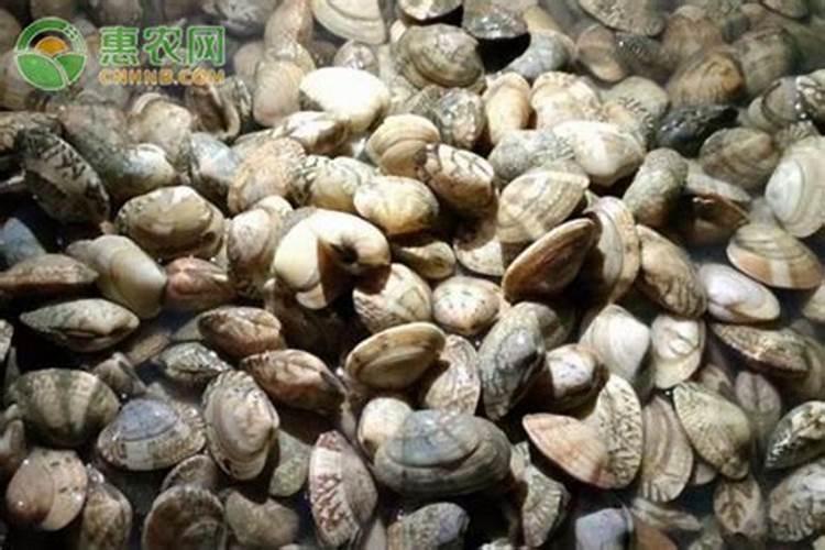火麻籽能直接吃吗？