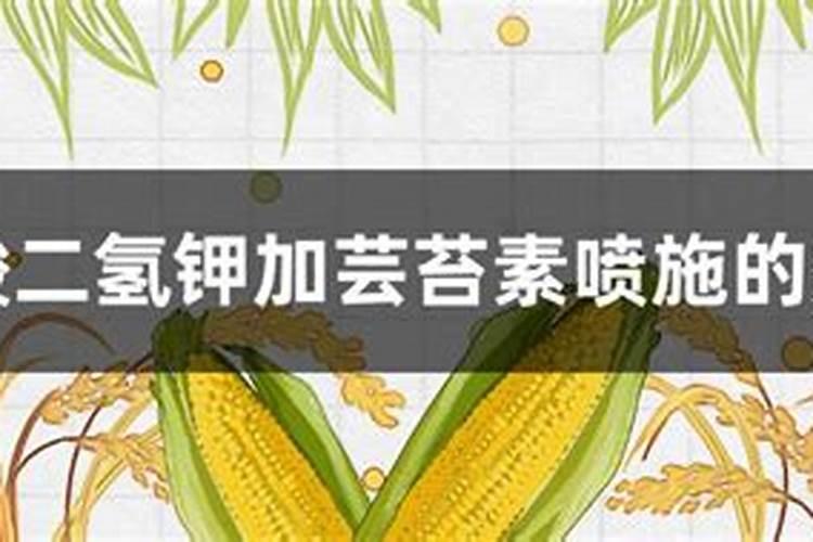 清除蔬菜上残留农药的五个小方法