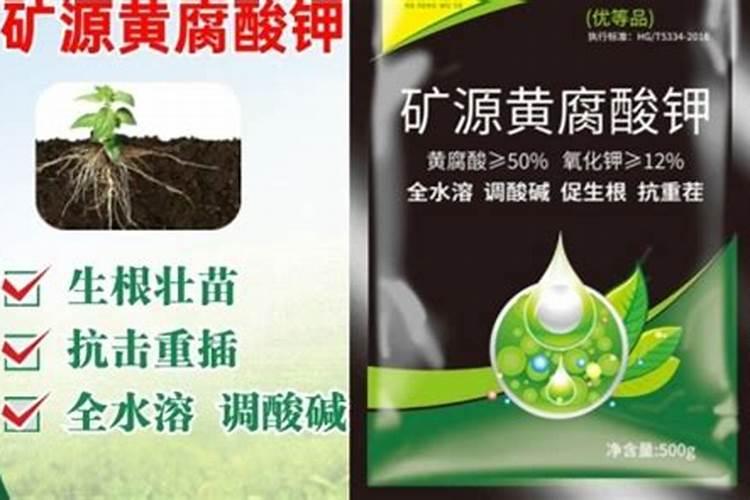 水溶性磷肥有哪些