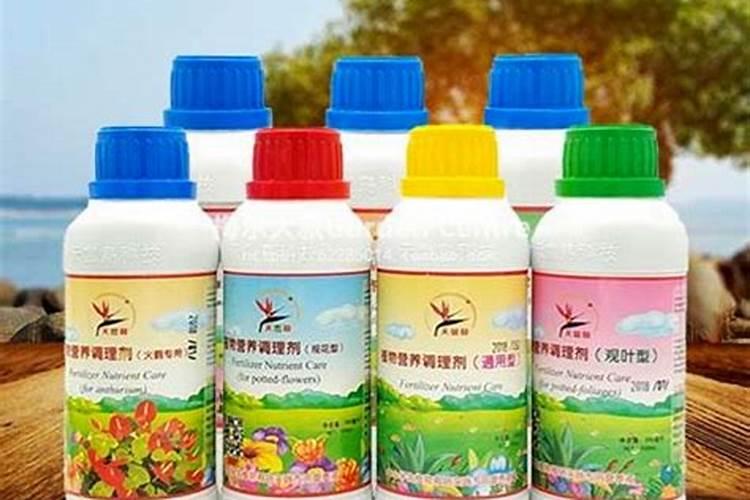蓝蝴蝶花的养殖方法