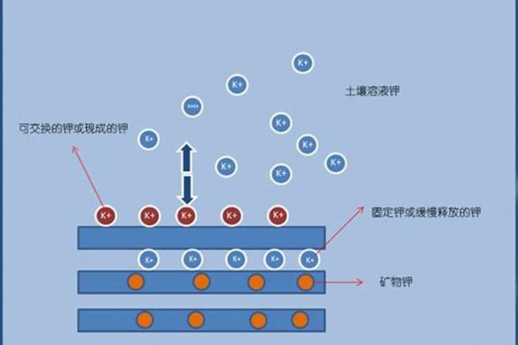 生物钾肥应该如何施用？施用时需要注意什么？