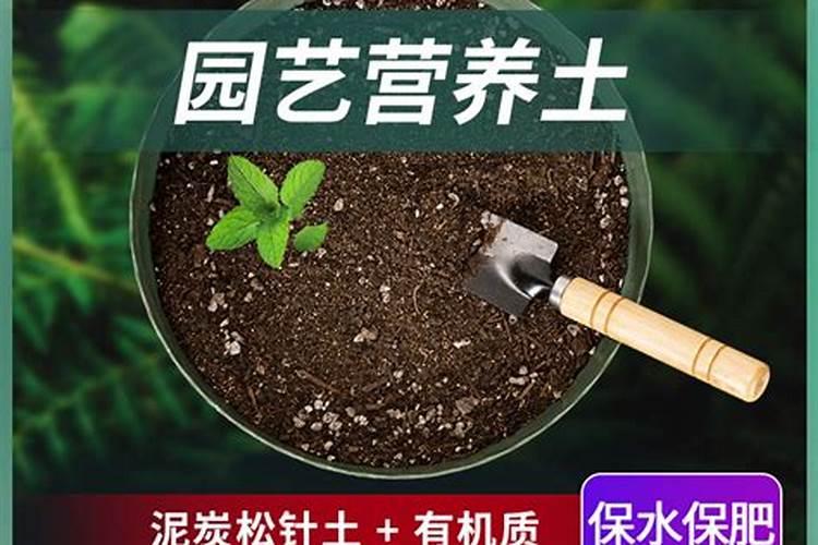 养花用什么肥料好