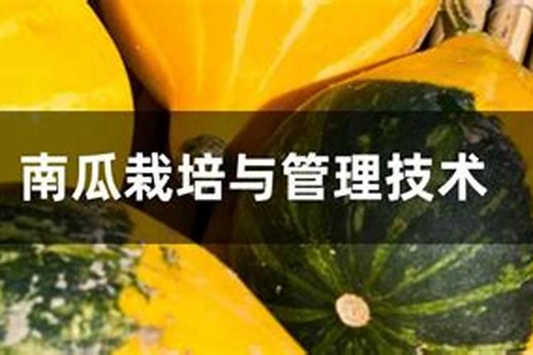 南瓜施肥什么时候比较合适,需肥规律,施肥方法