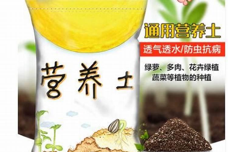 种菜的土要怎样管理才能发挥最大效益