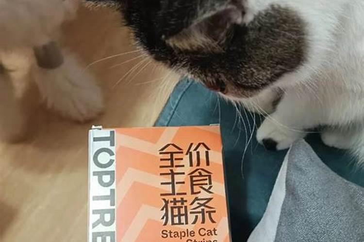 鱼蛋白自制配方比例