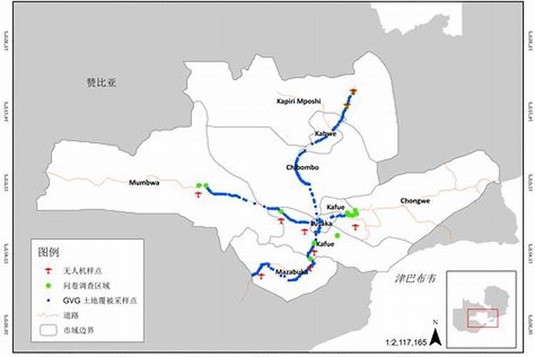 我家的三角梅为什么一直掉花啊,哗啦一下子就掉好多,有的还很小,没彻 ...